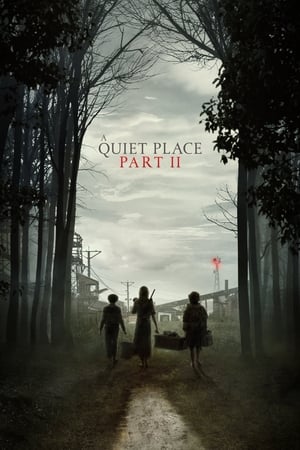A Quiet Place Part II (2021) Dual Audio | Dubbed Hindi Movie HDRip [1.1GB]