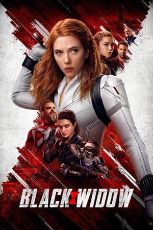 Black Widow (2021) Dual Audio | Dubbed Hindi Movie HDRip 450MB