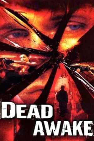 Dead Awake 2001 Dual Audio | Dubbed Hindi Movie WebRip [1GB]