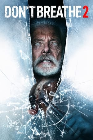 Don’t Breathe 2 (2021) Dual Audio | Dubbed Hindi Movie HDRip [900MB]