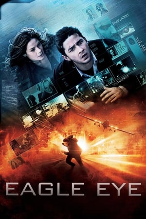 Eagle Eye (2008) Dual Audio | Dubbed Hindi Movie BluRay 330MB ESubs