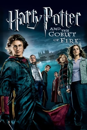 Harry Potter and the Goblet of Fire 2005 Dual Audio WEB-DL | Dubbed Hindi Movie