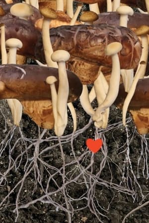 Heaven (2022) Movie HDRip | Dubbed Hindi Movie – 480p