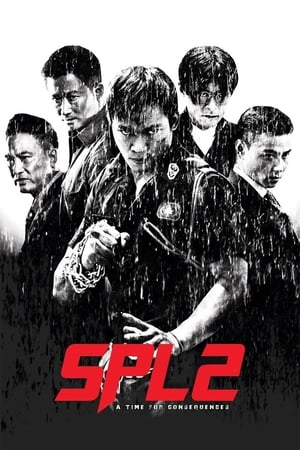 Kill Zone 2 (2015) Dual Audio | Dubbed Hindi Movie BluRay [1.5GB] ESubs