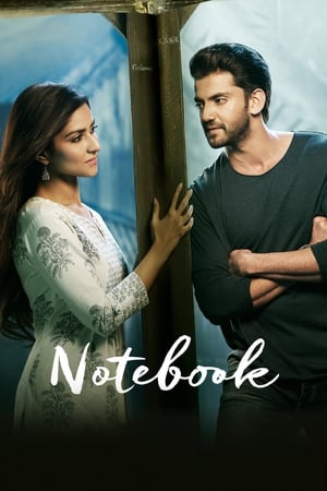 Notebook (2019) Movie | Dubbed Hindi Movie HDRip x264 [1.4GB]