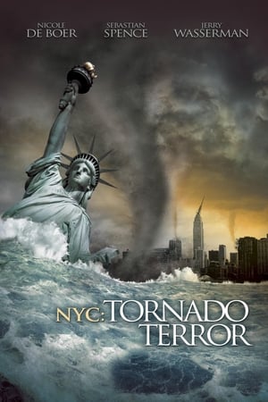 NYC Tornado Terror 2008 Dual Audio BluRay 300MB
