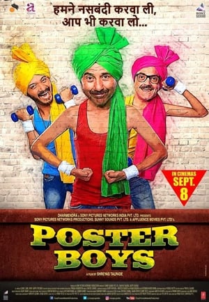 Poster Boys 2017 190mb movie Hevc DVDRip Download