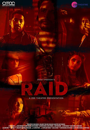 Raid 2019 Movie | Dubbed Hindi Movie HDRip x264 [650MB]