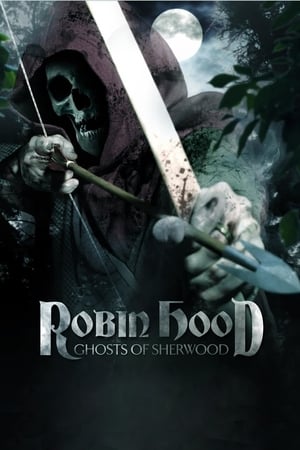 Robin Hood: Ghosts of Sherwood (2012) Dual Audio | Dubbed Hindi Movie BluRay 350MB