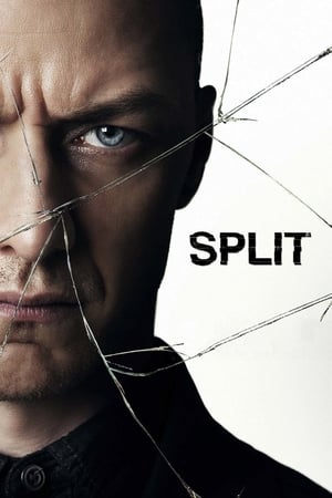 Split (2016) Dual Audio | Dubbed Hindi Movie BluRay 400MB
