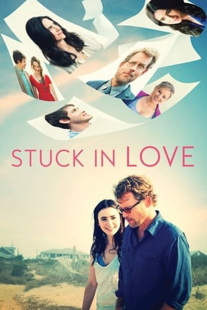 Stuck in Love (2012) Dual Audio | Dubbed Hindi Movie BluRay 300MB