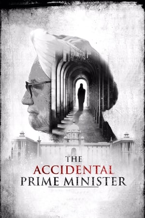 The Accidental Prime Minister (2019) Movie | Dubbed Hindi Movie HDRip x264 [1GB]