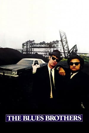 The Blues Brothers (1980) Dual Audio | Dubbed Hindi Movie BluRay [3.3GB]
