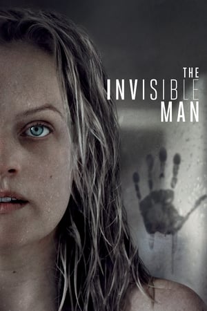 The Invisible Man (2020) (ORG) Dual Audio | Dubbed Hindi Movie BluRay 400MB