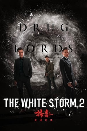 The White Storm 2: Drug Lords (2019) (Org) | Dubbed Hindi Movie HDRip [950MB]