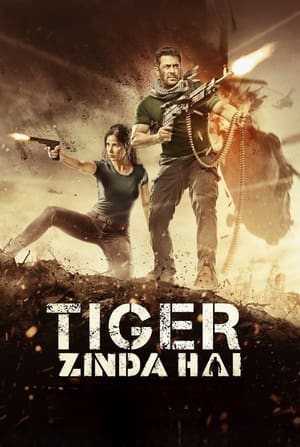 Tiger Zinda Hai 2017 Movie BluRay | Dubbed Hindi Movie Hevc [700MB]